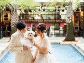 《ペット婚応援》愛犬と叶える家族W相談フェア♪持込0円特典◎