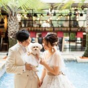 《ペット婚応援》愛犬と叶える家族W相談フェア♪持込0円特典◎