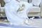 【最大80万円オフ】24年12月までの結婚式限定×牛フィレ試食×リゾート邸宅見学