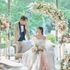 ＼木曜限定*ALL体験型FAIR／感動挙式×絶品試食食べ比べのイメージ