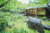 【組数限定】4千坪の日本庭園散策×料亭の上質和婚相談会