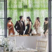 【限定3組】全館開放×ドレス見学×特製ランチ付きWフェア