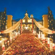 【新春◇年に一度】絶品試食&まるごと体験&お年玉特典付の詳細を見る