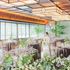 【挙式&衣装ご優待】歴史感じる伝統の鎌倉和婚×衣装見学×贅沢和牛試食のイメージ