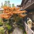 ＼秋彩の鎌倉和婚フェア／歴史的会館×黒毛和牛試食＆最大120万円特典のイメージ