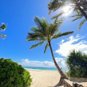 【11月限定企画】新婚旅行最大30万円もらえる！まるごと体験