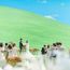 当館人気No1◇15大特典＆3千坪の自然を体感＆婚礼コース5品試食