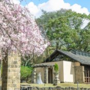 桜満開フェア◇最大130万優待＆春を感じるコース試食＆貸切見学