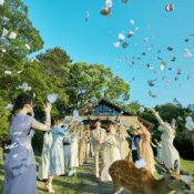月末BIG!豪華15大特典×世界遺産の森のチャペル体験×A5和牛試食