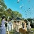 連休限定*15大特典＆A5和牛無料試食＆大自然で叶える結婚式体験のイメージ