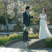 【マタニティ専用】SP特典付*ファミリーウエディング相談会