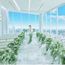 3.2万GIFT＼ドレス選び放題＆140万特典／絶景挙式×牛フィレ試食