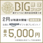 【BIG最終】最大5000円ギフト券つき!\ホテル宿泊券/特典も!