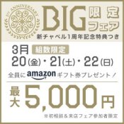 【銀座店／限定BIG】最大5千円ギフト券＆衣裳+撮影オプション特典付！