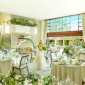 【初見学におすすめ】緑溢れる貸切リゾート邸宅×4万コース試食