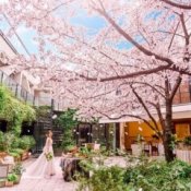 残3【桜と美食でおもてなし】春の貸切ガーデンW体験*アマギフ1万