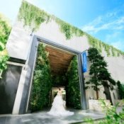 【スマホからでOK!】自宅でフェア参加!オンライン相談会