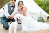 【ペットウェディング】大切な家族も一緒に♪貸切会場で叶えるW