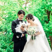 \大切な家族と一緒に!/安心ペット婚相談会×特別特典付