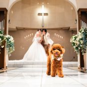 ＼大切な家族と一緒に！ペット婚／挙式*披露宴OK♪特別特典付の詳細を見る