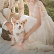 《大切なペットと結婚式を》試食付*海辺の邸宅&ペット婚相談会