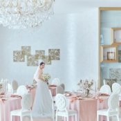 【金曜日は本番直前】会場コーディネート見学×挙式フェザーシャワー体験×特選試食