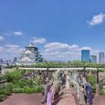 【20大180万特典】緑*笑顔あふれる寛ぎWD&和牛含む5万豪華試食