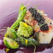 【料理でおもてなし婚】古都ヌーベルキュイジーヌ試食×邸宅見学の詳細を見る