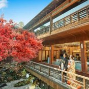 和婚希望におススメ◆GW限定15大特典◆4万試食×国宝神殿で叶う本格神社婚体験