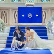 \ペット婚相談会♪/贅沢コース試食×ドレス2着無料付!