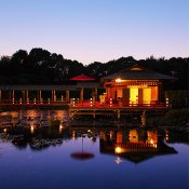 【40分でご案内・オンライン相談会】日本庭園で叶える美しい結婚式