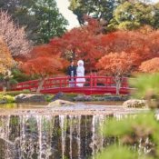 【1万坪の日本庭園】本格神殿＆庭園臨む絶景会場×伝統のローストビーフ試食付