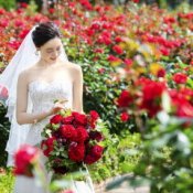【ローズガーデン限定公開】イメージ膨らむ本番前見学×ビュッフェ券付の詳細を見る