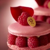 \初開催!豪華特典付/結婚式まるごと体験◆伝統の美食×庭園臨む絶景会場×花嫁体験