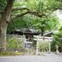 【小國神社・事任八幡宮提携】平日限定和婚フェアのイメージ
