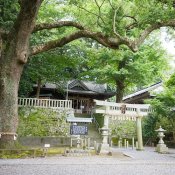 【小國神社・事任八幡宮・龍尾神社提携】平日限定和婚フェア