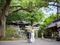 【小國神社・事任八幡宮提携】遠州和婚×フルコース美食祭