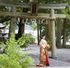 【小國神社・事任八幡宮提携】遠州和婚×フルコース美食祭のイメージ