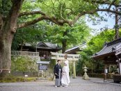 【小國神社・事任八幡宮提携】遠州和婚×フルコース美食祭