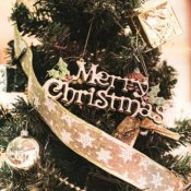 残2組【Xmas限定】全部体験×Xmas限定特典×常陸牛試食