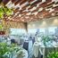 残僅か！夏の贅沢WD！最大150万優待×12大特典×豪華試食■1.5万ギフト券付