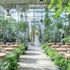 【飛騨牛/オマール試食】緑チャペル*全天候ガーデン×1.3万ギフト券のイメージ