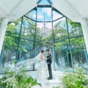 【140万優待×4万Gift】緑溢れる滝のチャペル×20大特典*3万試食