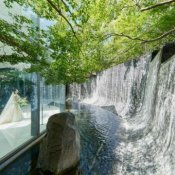 【140万優待＆1万ギフト付】滝が流れる挙式×ドレス見学*和牛試食