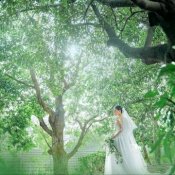 【140万優待×4万Gift】緑溢れる滝のチャペル×20大特典*3万試食