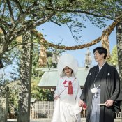 【初見学にも◎】本格神社×贅沢試食×専属プランナー無料相談会