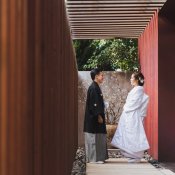 IWAIの和婚|大切な人と心を通わせるモダン和婚◇贅沢ハーフコース無料試食付き