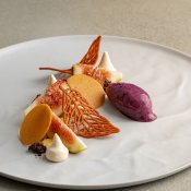 【ゲストの記憶に刻むもてなし】人気No.1メニュー試食×コンセプト体験×衣裳特典