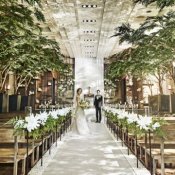 <Xmas限定FAIR>最大150万特典◆国産牛試食×森のチャペル×最旬ドレス◆