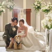 【愛犬と一緒に叶える貸切Wedding】自由度抜群♪ペット婚相談会